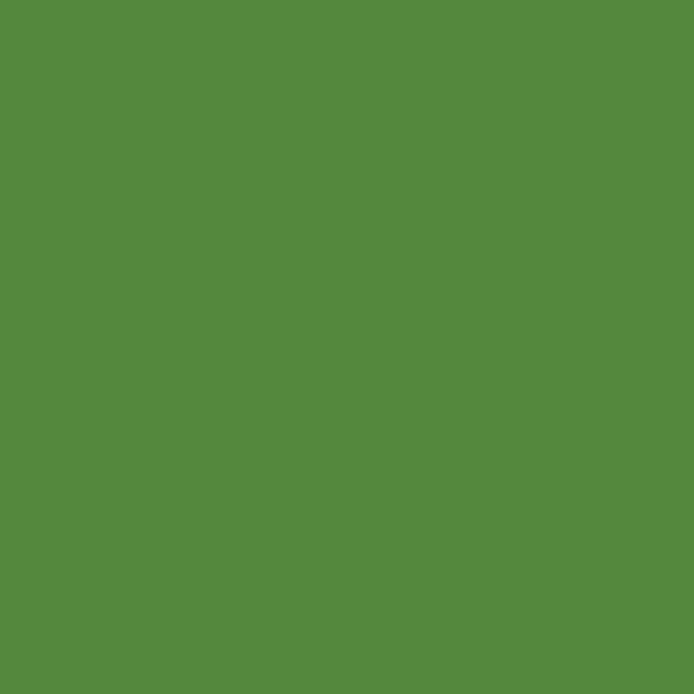 Liquitex Marker - Dark Olive