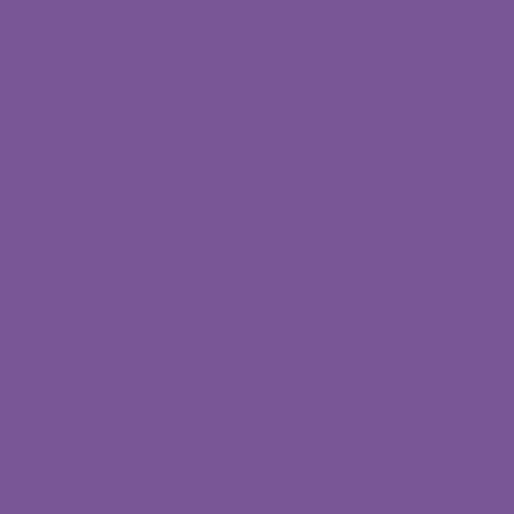 Liquitex Marker - Purple