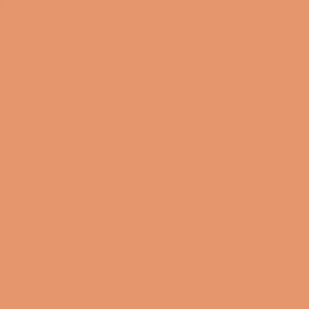 Liquitex Marker - Terracotta