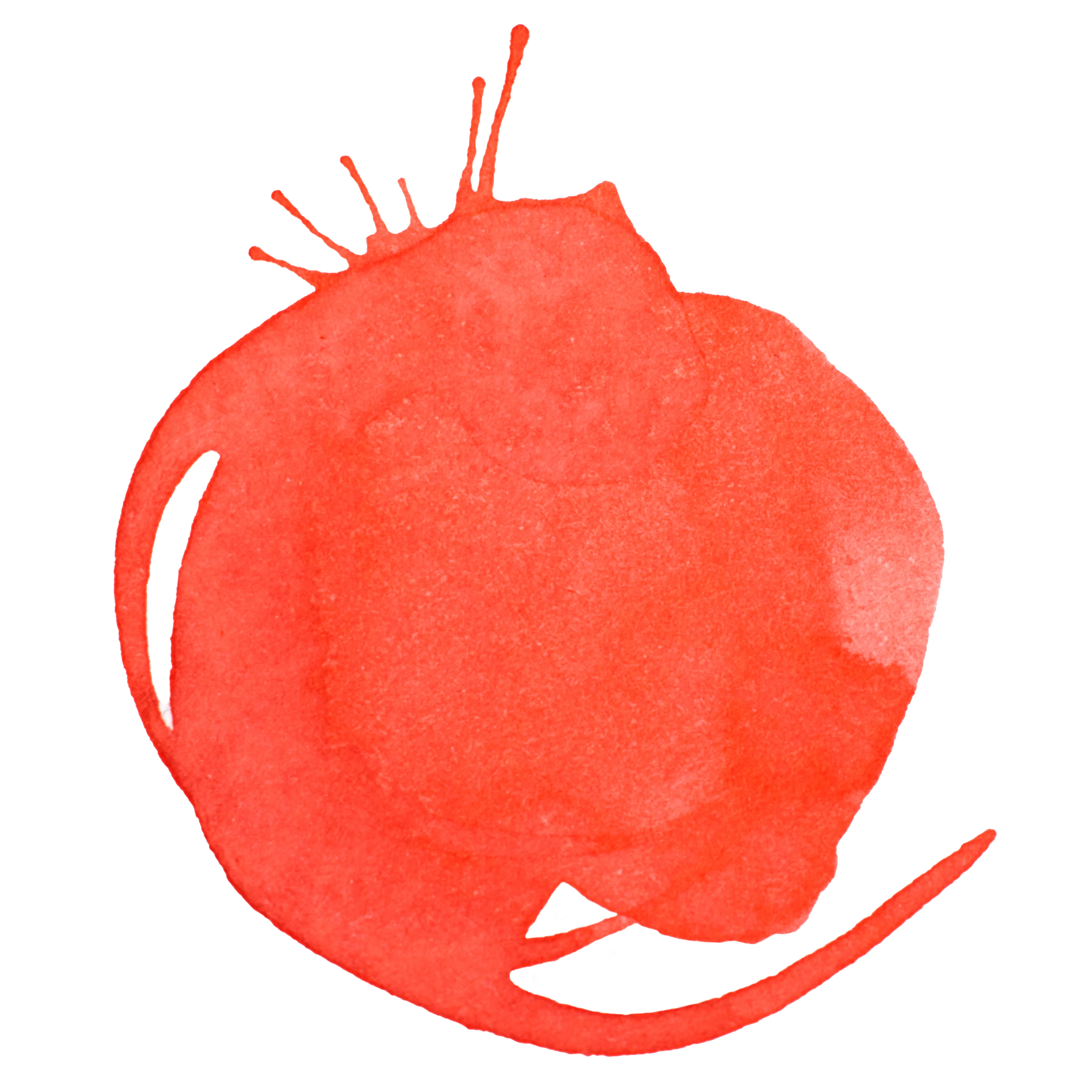 Professional Acrylic Ink - Vivid Red Orange