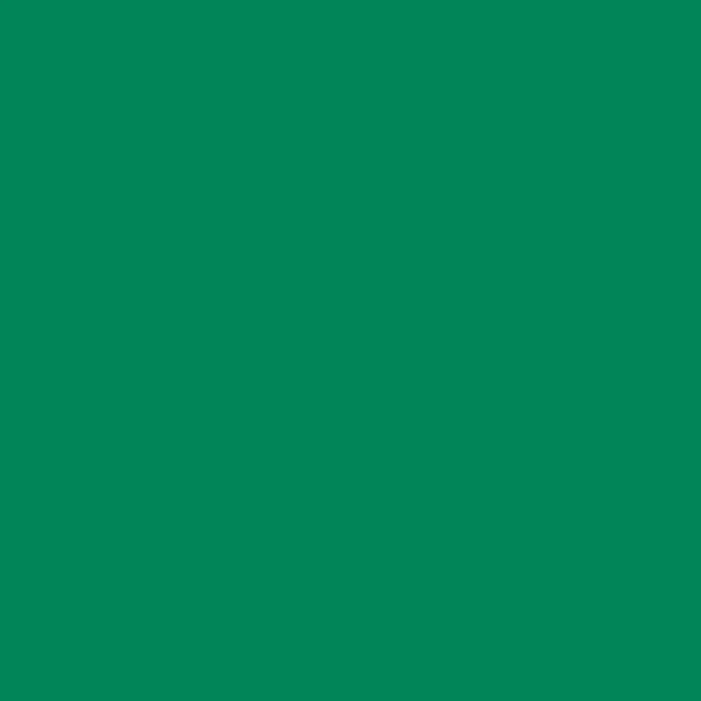 Professional Acrylic Marker - Emerald Green
