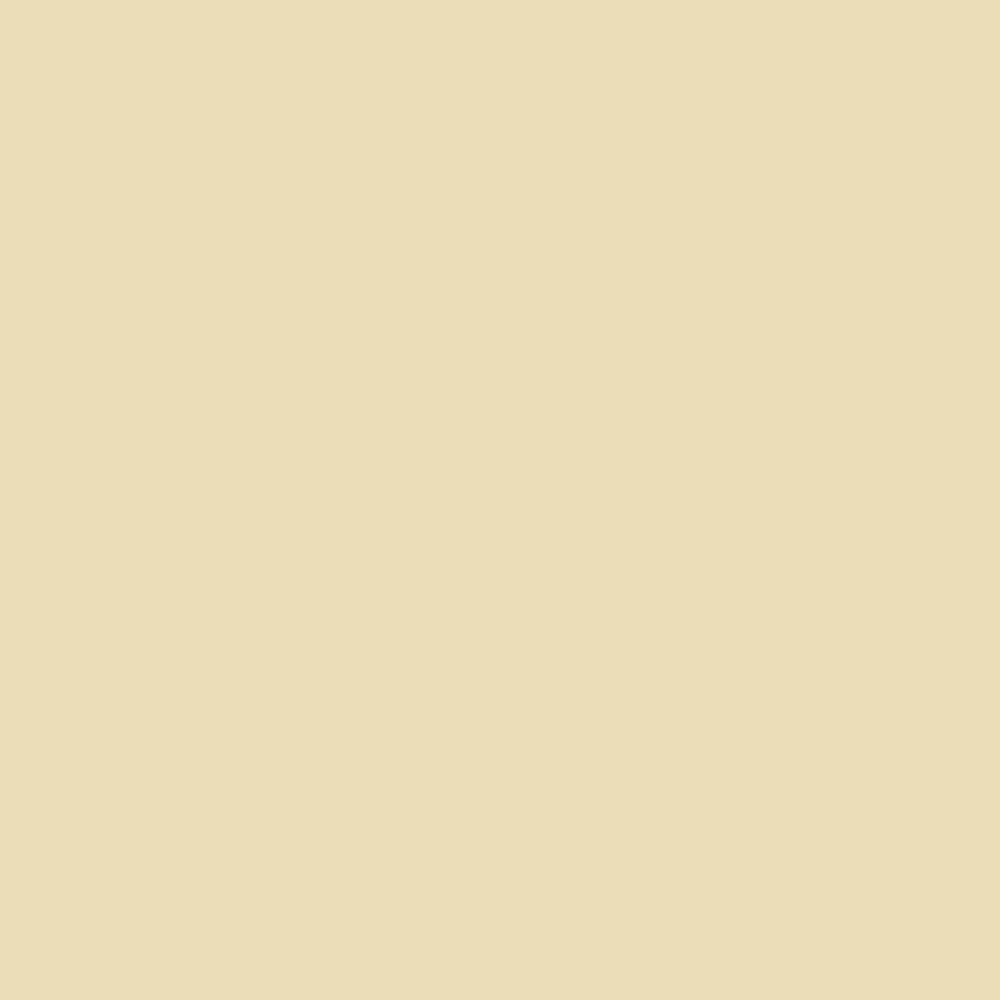 Professional Acrylic Marker - Parchment