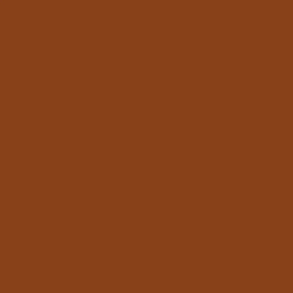 Professional Acrylic Marker - Raw Sienna
