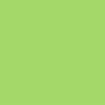 Professional Spray Paint - Brilliant Yellow Green
