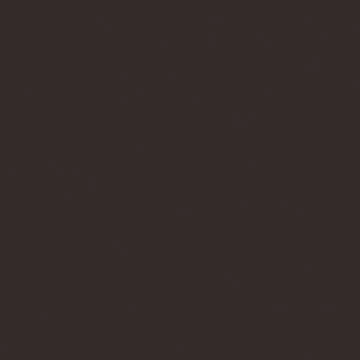 Professional Spray Paint - Burnt Umber