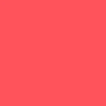 Professional Spray Paint - Fluorescent Red